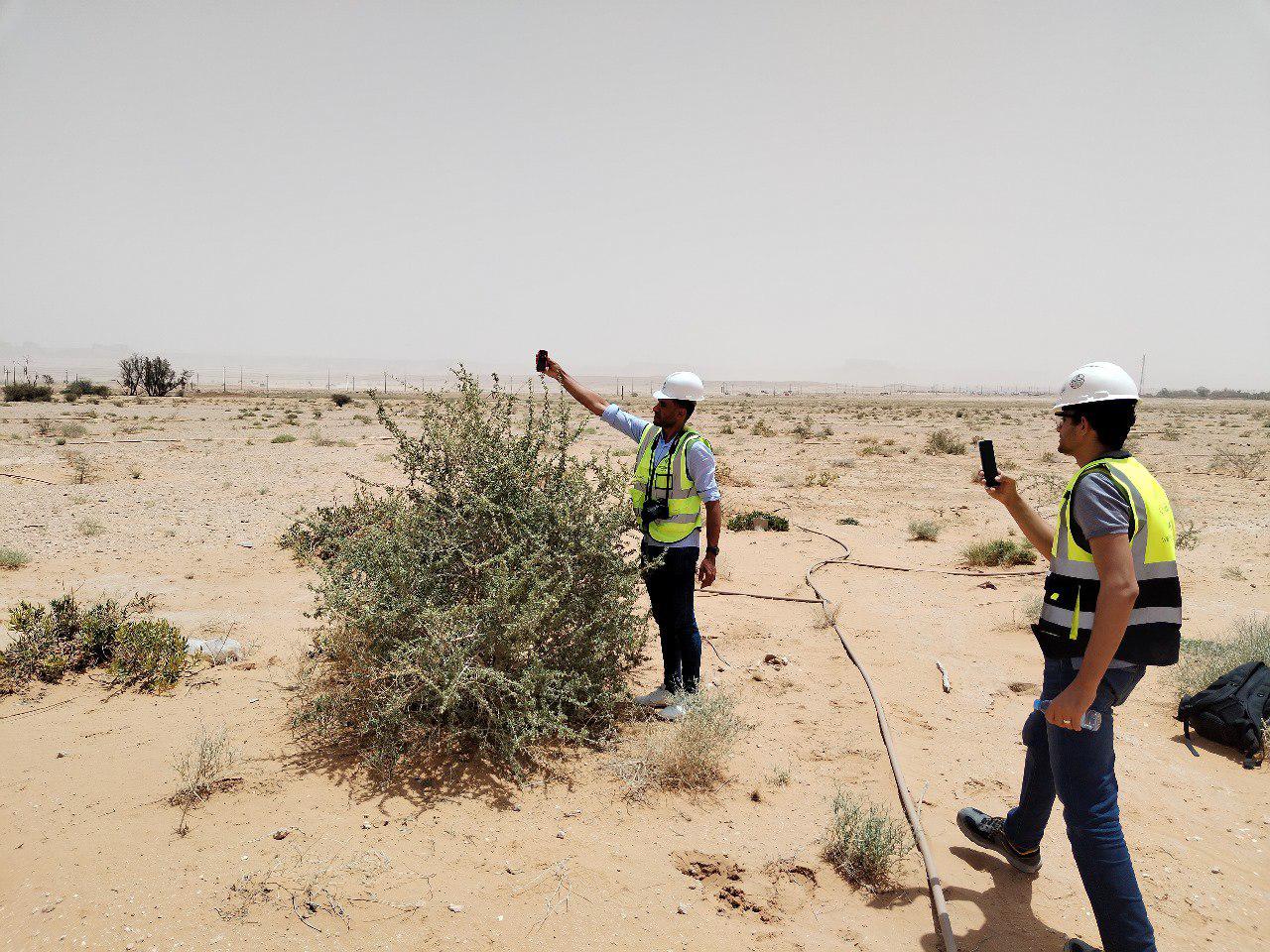 Environmental Studies