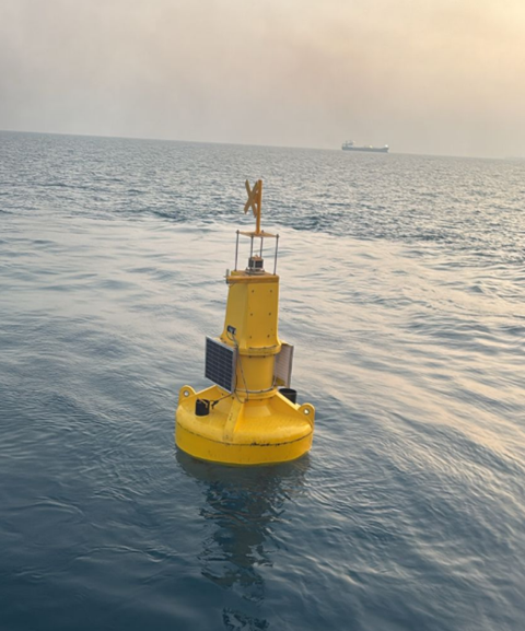 Marine Environment