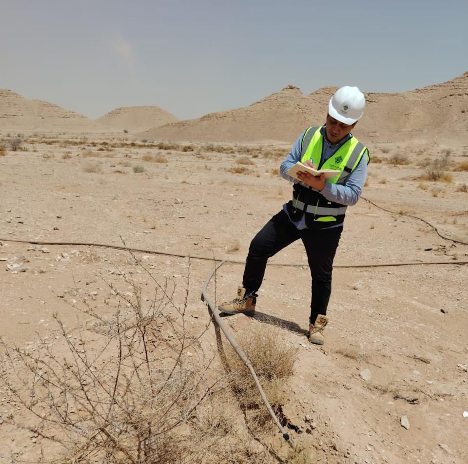 Expert minds and professional hands